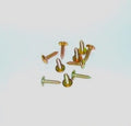 Blechschraube mit großem Kopf, gelb verzinkt, Durchmesser 45 mm, Länge 20 mm, Verkaufseinheit 10 Stück