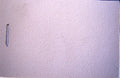 leatherette white/cream (price per meter width +/- 150M)